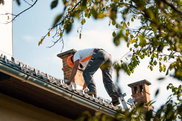 Best Roof Maintenance Services  in Enterprise, WV