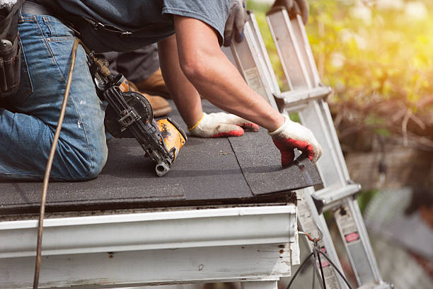 Best Roof Gutter Cleaning  in Enterprise, WV